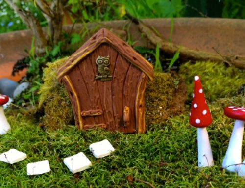 What is a Fairy Garden?