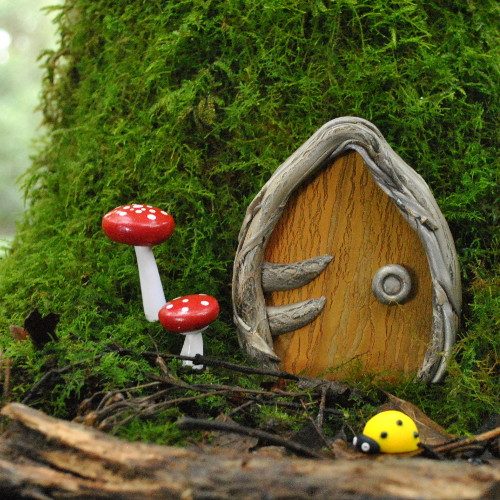 woodland fairy garden kit